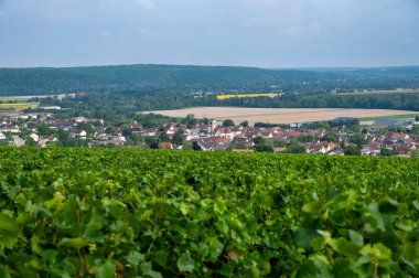 Essoyes ve Celles-sur-Ource, Champagne-Ardennes, Fransa, Avrupa yakınlarındaki Aube şubesinin Cote des Bar bölgesinde şampanya bağları