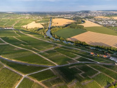 Epernay, Champange, Fransa yakınlarındaki Hautvillers köyündeki ilkel cru şampanya bağlarının panoramik manzarası gün batımında