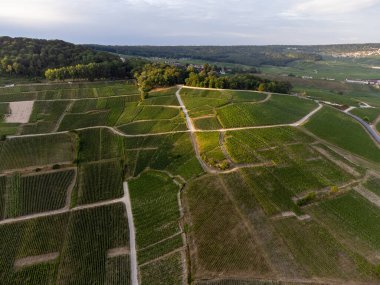 Günbatımında Epernay, Champange, Fransa yakınlarındaki Hautvillers köyü yakınlarındaki şampanya bağlarının hava panoramik manzarası.