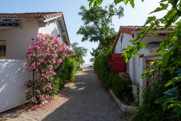 Le Racou hamleti Argeles-sur-Mer 'deki küçük yazlık evler, ya da Katalan' daki kuytu köşeler, Akdeniz kıyısındaki tipik yerler, kumlu yollar, Fransa 'nın Collioure kenti yakınlarındaki turistler.