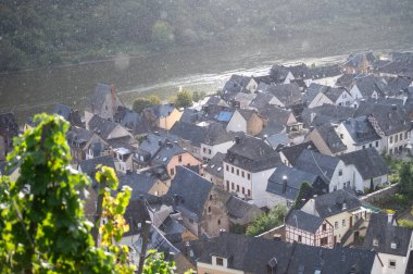 Yağmur ve güneş, teraslı üzüm bağlarındaki beyaz üzüm bağlarının manzarası, Avrupa 'nın en dik üzüm bağı olan Calmont bölgesinde hasat zamanı Moselle nehri vadisinde, Almanya' nın Editör-Eller,