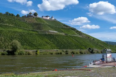 Almanya 'nın Punderich ortaçağ köyü yakınlarındaki yeşil teraslı üzüm bağları ve Moselle nehri manzarası