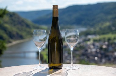 Alman şarabı içmek teraslı üzüm bağlarında şarap içmek Moselle Nehri Vadisi manzaralı, Almanya 'da şarap imalatı endüstrisi, iki kadeh şarap.