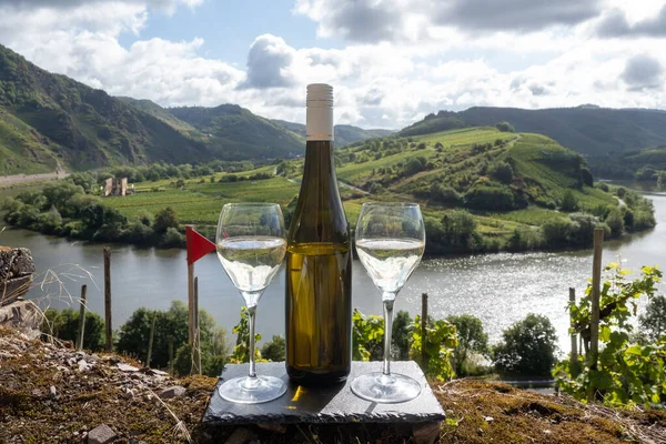 Alman kaliteli beyaz şarap riesling, Mosel şarap bölgesi, Avrupa 'nın en dik Calmont Klettersteig üzüm bağında büyüyen beyaz üzümler, Bremm ve Ediger-Eller, Almanya yakınlarındaki bardaklar ve şişe,