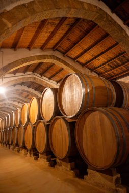 Eski büyük meşe fıçılarıyla şarap mahzeni ziyareti, Marsala, Sicilya 'da güçlendirilmiş kuru veya tatlı marsala şarabı üretimi, İtalya' da şarap endüstrisi