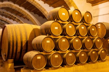 Eski büyük meşe fıçılarıyla şarap mahzeni ziyareti, Marsala, Sicilya 'da güçlendirilmiş kuru veya tatlı marsala şarabı üretimi, İtalya' da şarap endüstrisi