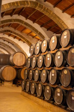 Eski büyük meşe fıçılarıyla şarap mahzeni ziyareti, Marsala, Sicilya 'da güçlendirilmiş kuru veya tatlı marsala şarabı üretimi, İtalya' da şarap endüstrisi