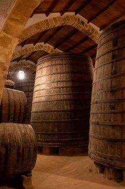 Eski büyük meşe fıçılarıyla şarap mahzeni ziyareti, Marsala, Sicilya 'da güçlendirilmiş kuru veya tatlı marsala şarabı üretimi, İtalya' da şarap endüstrisi