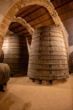 Eski büyük meşe fıçılarıyla şarap mahzeni ziyareti, Marsala, Sicilya 'da güçlendirilmiş kuru veya tatlı marsala şarabı üretimi, İtalya' da şarap endüstrisi