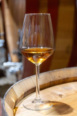 Eski büyük meşe fıçılarıyla şarap mahzenini ziyaret etmek, Marsala, Sicilya, İtalya ve şarap endüstrisindeki varillerden alınmış bir bardak güçlendirilmiş veya lezzetli marsala şarabı.