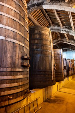 Collioure 'daki eski meşe fıçılarını ziyaret edin. Doğal tatlı kırmızı cru şarabı için eski meşe fıçıları. Banyuls, Katalan Pirenesi, Roussillon, Fransa' nın yamaçlarındaki eski sarmaşıklardan güçlendirilmiş tatlı şarabı.