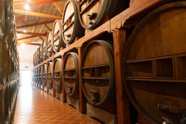 Eski büyük meşe fıçılarıyla şarap mahzeni ziyareti, Marsala, Sicilya 'da güçlendirilmiş kuru veya tatlı marsala şarabı üretimi, İtalya' da şarap endüstrisi