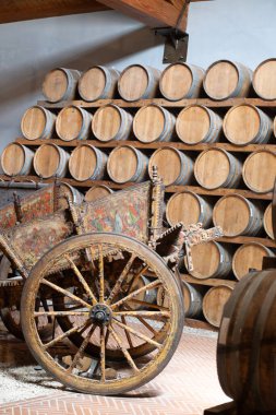Eski büyük meşe fıçılarıyla şarap mahzeni ziyareti, Marsala, Sicilya 'da güçlendirilmiş kuru veya tatlı marsala şarabı üretimi, İtalya' da şarap endüstrisi