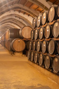 Eski büyük meşe fıçılarıyla şarap mahzeni ziyareti, Marsala, Sicilya 'da güçlendirilmiş kuru veya tatlı marsala şarabı üretimi, İtalya' da şarap endüstrisi