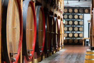 Eski büyük meşe fıçılarıyla şarap mahzeni ziyareti, Marsala, Sicilya 'da güçlendirilmiş kuru veya tatlı marsala şarabı üretimi, İtalya' da şarap endüstrisi