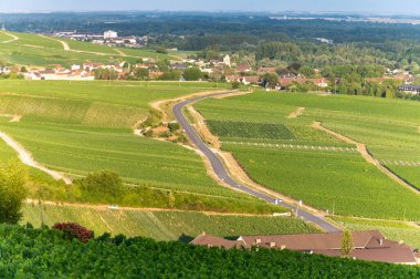 Epernay, Champange, Fransa yakınlarındaki Hautvillers köyündeki ilkel cru şampanya bağlarının panoramik manzarası gün batımında