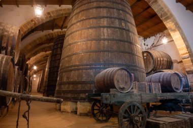 Eski büyük meşe fıçılarıyla şarap mahzeni ziyareti, Marsala, Sicilya 'da güçlendirilmiş kuru veya tatlı marsala şarabı üretimi, İtalya' da şarap endüstrisi
