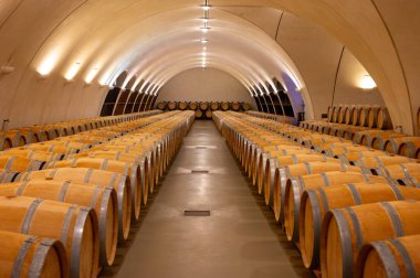 Cahors şarap üretim bölgesinde şarap fıçıları, kırmızı malbec şarapları, Fransa 'nın şatosunda şarap tatma, enotürizm