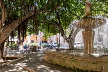 Marsala manzarası, Sicilya kıyısı şehri ünlü Marsala şarabı, eski dar sokaklar, evler ve palmiyeler, gölge ağaçlar, çeşmeler, İtalya 'da tatil yeri
