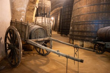 Eski büyük meşe fıçılarıyla şarap mahzeni ziyareti, Marsala, Sicilya 'da güçlendirilmiş kuru veya tatlı marsala şarabı üretimi, İtalya' da şarap endüstrisi