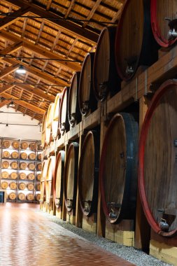 Eski büyük meşe fıçılarıyla şarap mahzeni ziyareti, Marsala, Sicilya 'da güçlendirilmiş kuru veya tatlı marsala şarabı üretimi, İtalya' da şarap endüstrisi