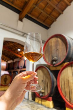 Eski büyük meşe fıçılarıyla şarap mahzenini ziyaret etmek, Marsala, Sicilya, İtalya ve şarap endüstrisindeki varillerden alınmış bir bardak güçlendirilmiş veya lezzetli marsala şarabı.