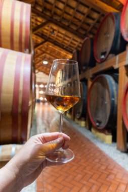 Eski büyük meşe fıçılarıyla şarap mahzenini ziyaret etmek, Marsala, Sicilya, İtalya ve şarap endüstrisindeki varillerden alınmış bir bardak güçlendirilmiş veya lezzetli marsala şarabı.