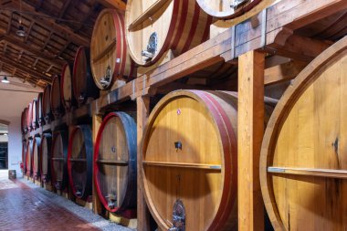 Eski büyük meşe fıçılarıyla şarap mahzeni ziyareti, Marsala, Sicilya 'da güçlendirilmiş kuru veya tatlı marsala şarabı üretimi, İtalya' da şarap endüstrisi