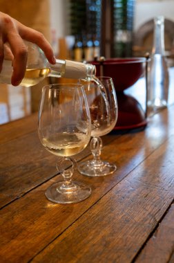 Cahors şarap üretim bölgesinde yeraltı mağaraları ve şarap tatma şatolarının ziyareti, beyaz, gül ve kırmızı malbec şarapları, Fransa enotürizmi, kadehe şarap dökülmesi