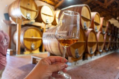 Eski büyük meşe fıçılarıyla şarap mahzeni ziyareti, el ele tutuşma, güçlendirilmiş kuru veya tatlı marsala şarabı Marsala, Sicilya, İtalya, şarap endüstrisi...