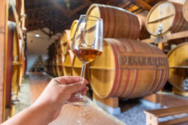 Eski büyük meşe fıçılarıyla şarap mahzeni ziyareti, el ele tutuşma, güçlendirilmiş kuru veya tatlı marsala şarabı Marsala, Sicilya, İtalya, şarap endüstrisi...