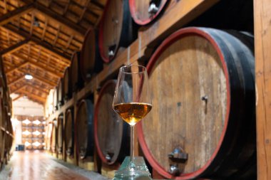 Eski büyük meşe fıçılarıyla şarap mahzenini ziyaret etmek, Marsala, Sicilya, İtalya ve şarap endüstrisindeki varillerden alınmış bir bardak güçlendirilmiş veya lezzetli marsala şarabı.