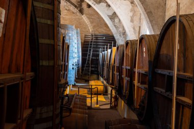 Collioure 'daki eski meşe fıçılarını ziyaret edin. Doğal tatlı kırmızı cru şarabı için eski meşe fıçıları. Banyuls, Katalan Pirenesi, Roussillon, Fransa' nın yamaçlarındaki eski sarmaşıklardan güçlendirilmiş tatlı şarabı.