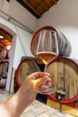 Eski büyük meşe fıçılarıyla şarap mahzenini ziyaret etmek, Marsala, Sicilya, İtalya ve şarap endüstrisindeki varillerden alınmış bir bardak güçlendirilmiş veya lezzetli marsala şarabı.