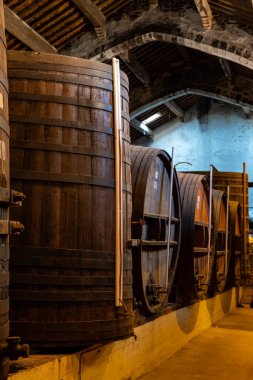 Collioure 'daki eski meşe fıçılarını ziyaret edin. Doğal tatlı kırmızı cru şarabı için eski meşe fıçıları. Banyuls, Katalan Pirenesi, Roussillon, Fransa' nın yamaçlarındaki eski sarmaşıklardan güçlendirilmiş tatlı şarabı.