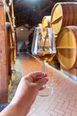 Eski büyük meşe fıçılarıyla şarap mahzeni ziyareti, el ele tutuşma, güçlendirilmiş kuru veya tatlı marsala şarabı Marsala, Sicilya, İtalya, şarap endüstrisi...