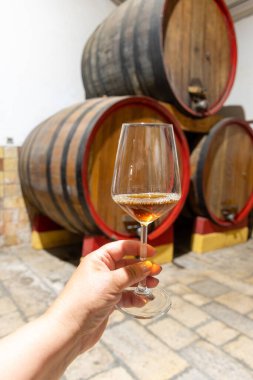 Eski büyük meşe fıçılarıyla şarap mahzenini ziyaret etmek, Marsala, Sicilya, İtalya ve şarap endüstrisindeki varillerden alınmış bir bardak güçlendirilmiş veya lezzetli marsala şarabı.