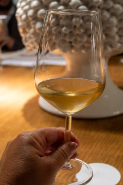 Eski büyük meşe fıçılarıyla şarap mahzeni ziyareti, güçlendirilmiş kuru veya tatlı marsala şarabı ile tatma bardakları Marsala, Sicilya, İtalya 'da şarap endüstrisi