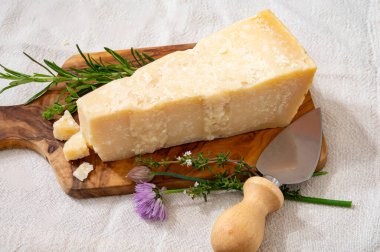 Geleneksel İtalyan yemekleri, mağaralarda 36 aylık İtalyan parmesan peyniri Parmigiano-Reggiano, İtalya 'dan.