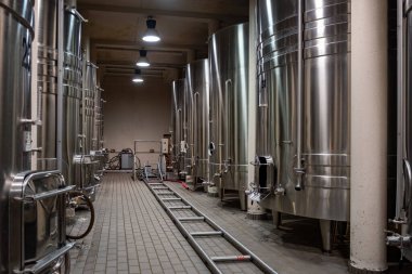 Cahors şarap üretim alanında üzüm fermantasyonu, kırmızı malbec şarapları, Fransa 'nın şatosunda şarap tatma, enotourism