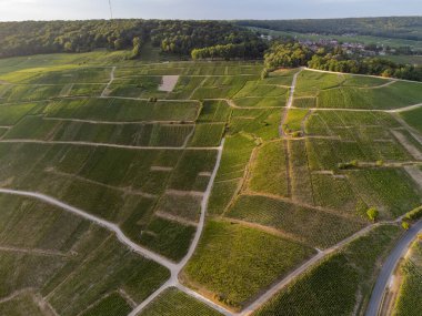 Günbatımında Epernay, Champange, Fransa yakınlarındaki Hautvillers köyü yakınlarındaki şampanya bağlarının hava panoramik manzarası.