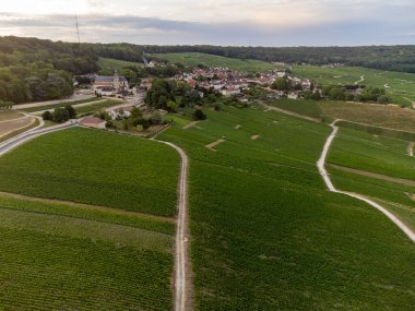 Günbatımında Epernay, Champange, Fransa yakınlarındaki Hautvillers köyü yakınlarındaki şampanya bağlarının hava panoramik manzarası.