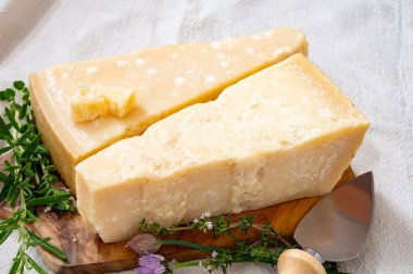 Geleneksel İtalyan yemekleri, 36 aylık mağaralardaki İtalyan parmesan peyniri Parmigiano-Reggiano ve Po River Valley, İtalya 'dan grana padano, yakın çekim.
