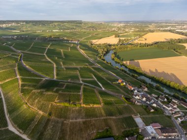 Epernay, Champange, Fransa yakınlarındaki Hautvillers köyündeki ilkel cru şampanya bağlarının panoramik manzarası gün batımında