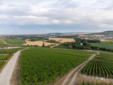 Günbatımında Epernay, Champange, Fransa yakınlarındaki Hautvillers köyü yakınlarındaki şampanya bağlarının hava panoramik manzarası.