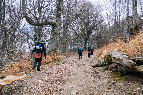 Hikers group trekking in Crimea, Ukraine mountains