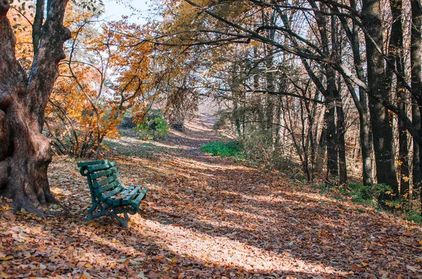 Зеленая Деревянная Скамейка Среди Осенних Листьев — стоковое фото