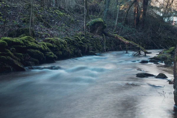 Malá Řeka Krásné Lesní Bavorsko — Stock fotografie