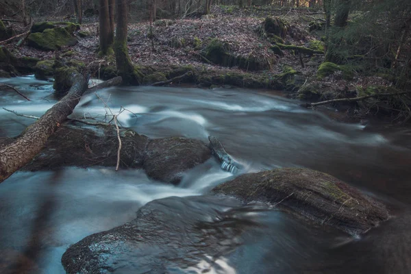 Malá Řeka Krásné Lesní Bavorsko — Stock fotografie