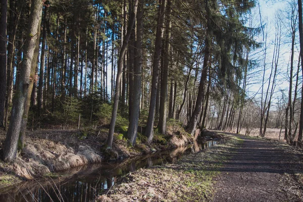 Caminho Pequeno Rio Atravessando Uma Floresta — Fotografia de Stock